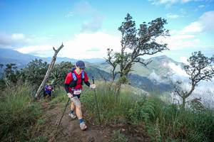 BIB: 
                            <button type="button" onclick="openModal(22371829)" class="btn btn-primary btn-sm float-right btn-popup" data-toggle="modal" data-target=".modal-high-quality">
                        <i class="fas fa-shopping-cart"></i> Add to Cart
                    </button>
                                            <button type="button" onclick="isThisMe(22371829, true)" class="btn btn-success btn-sm float-right btn-popup btn-isme hidden" data-toggle="tooltip" data-placement="bottom" title="นี่คือรูปของคุณใช่ไหม คลิกที่นี่เพื่อเอาเข้าอัลบั้ม">
                        <i class="fas fa-plus"></i> Add to album
                    </button>
                    <button type="button" onclick="isThisMe(22371829, false)" class="btn btn-warning btn-sm float-right btn-popup btn-isnotme hidden">
                        <i class="fas fa-ban"></i> Remove from album
                    </button>